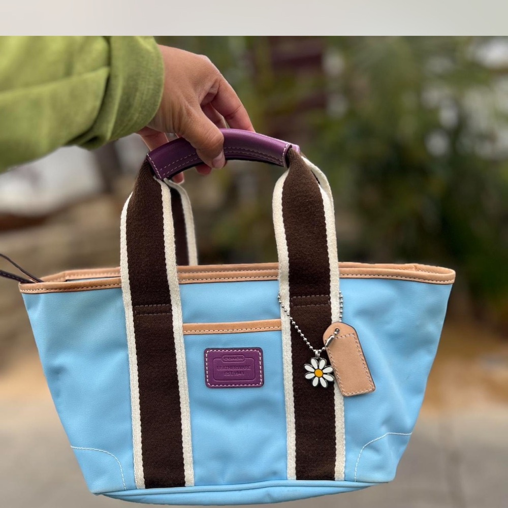 Coach Blue and Brown Tote Bag